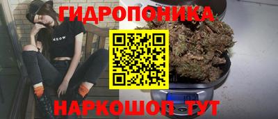 крисы Нарткала