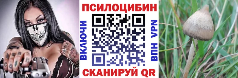 Галлюциногенные грибы MAGIC MUSHROOMS Старая Купавна