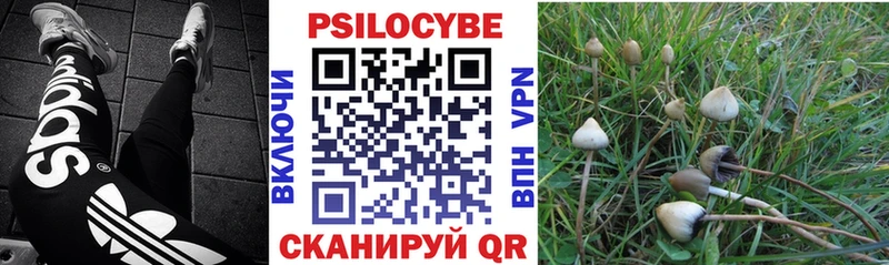 цены   ОМГ ОМГ ссылки  Псилоцибиновые грибы Psilocybine cubensis  Старая Купавна 