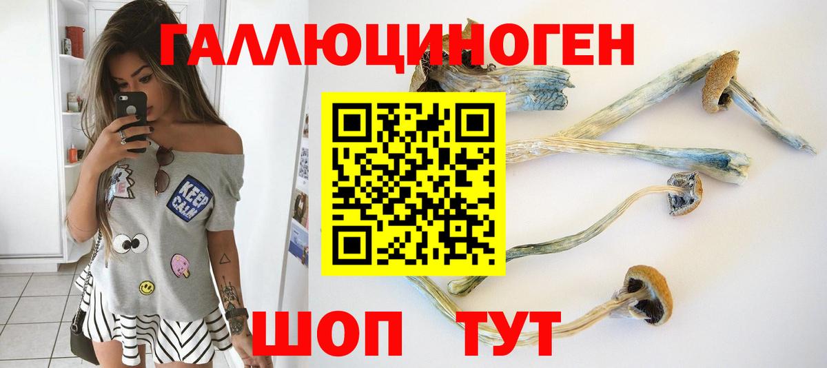 сколько стоит  Псилоцибиновые грибы Cubensis  Вход с VPN  Псилоцибиновые грибы Cubensis  Старая Купавна 