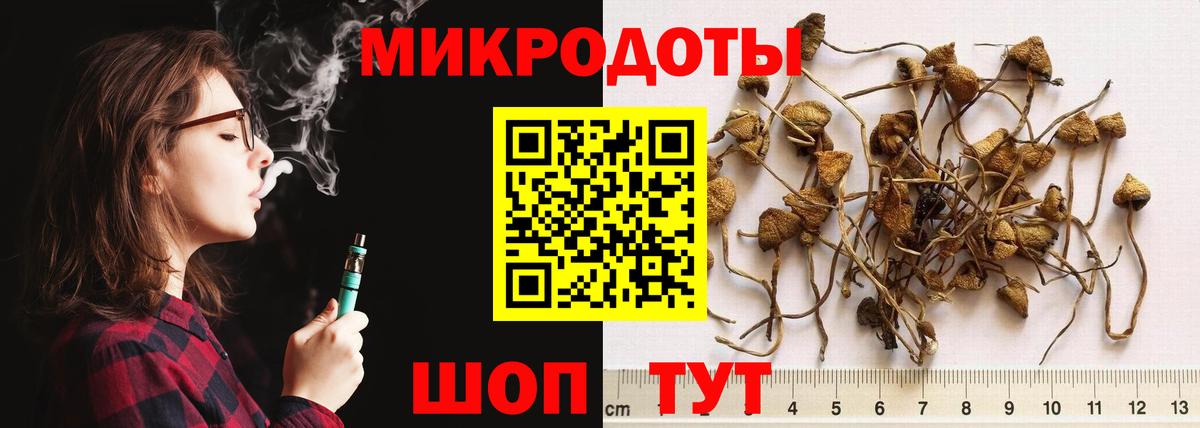 Псилоцибиновые грибы GOLDEN TEACHER Старая Купавна